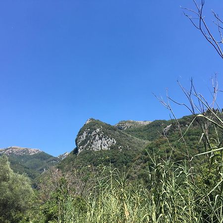 Casa La Wanda - Camaiore Toscana - 2 Bedroom & Terrace 外观 照片